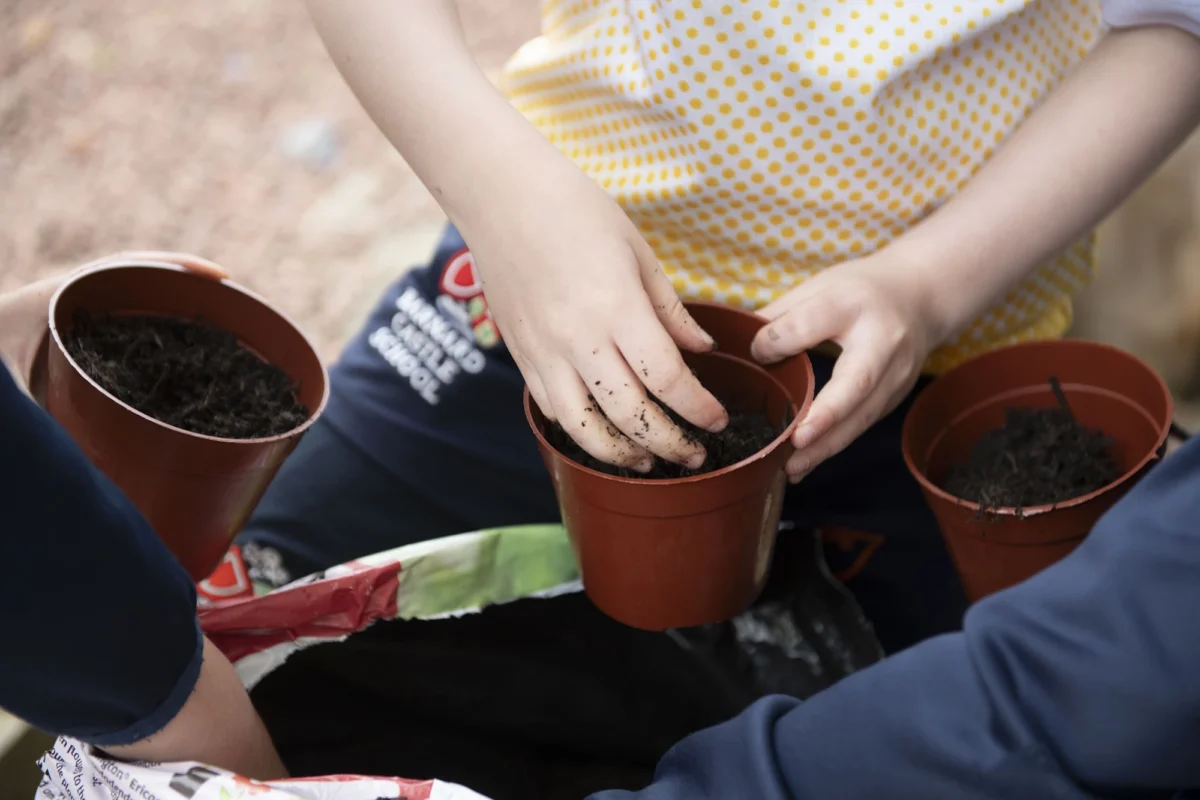 Barnard Castle Students exploring more about gardening using pots and soil.