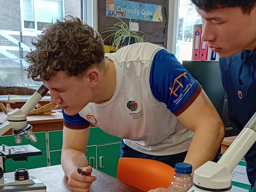 British Science Week: Curiosity – what’s your question?