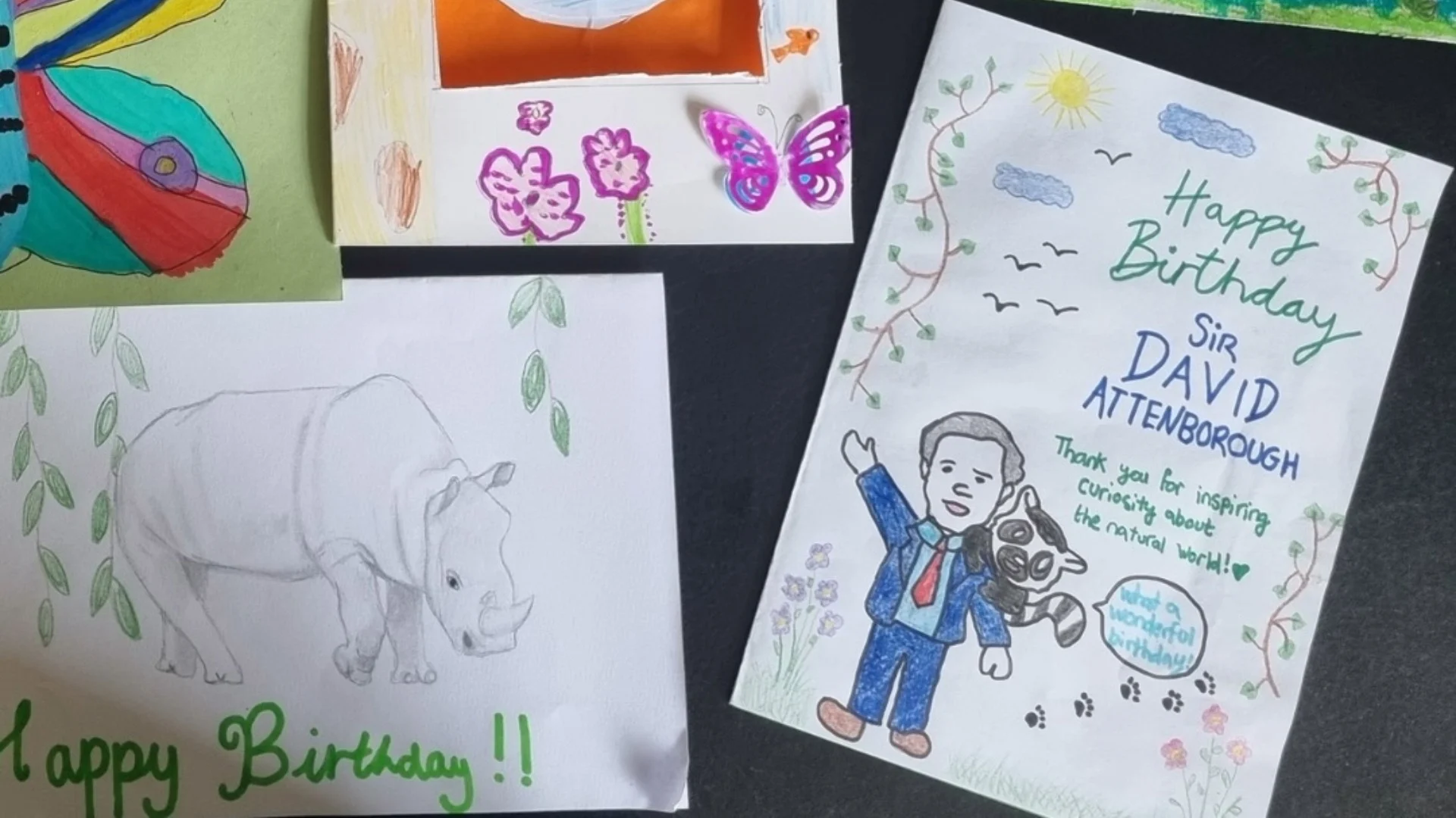 An arrangement of hand-made birthday cards for Sir David Attenborough's 100th birthday.