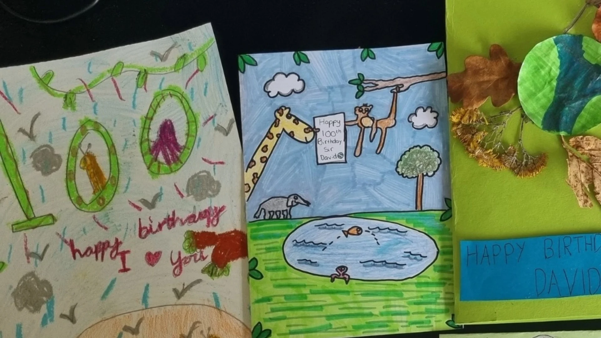 An arrangement of hand-made birthday cards for Sir David Attenborough's 100th birthday.
