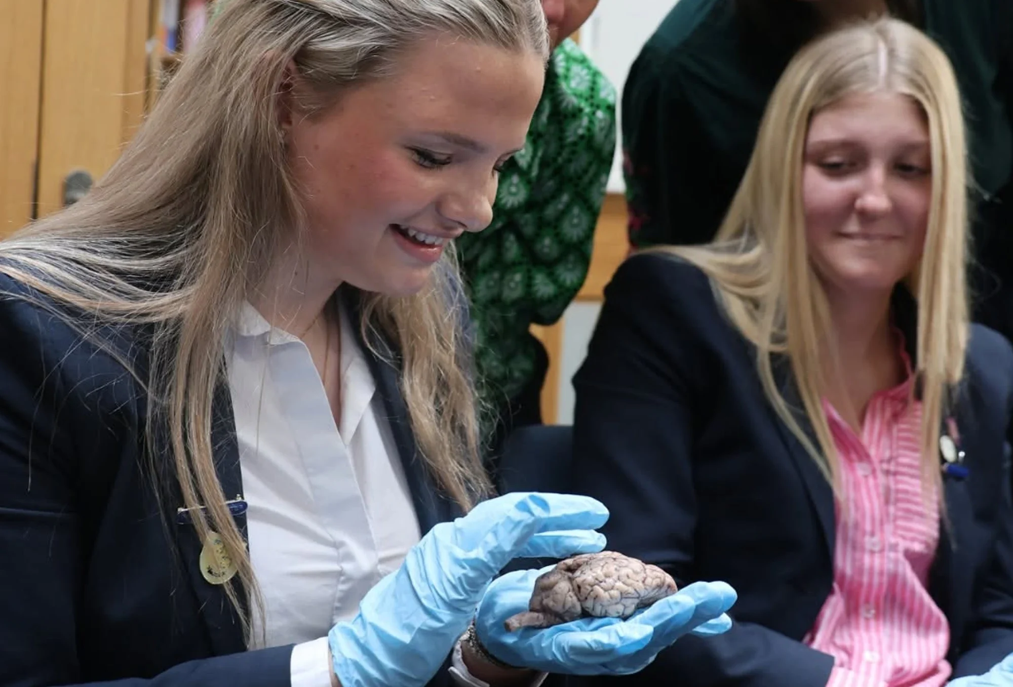 Barnard Castle School student wears blue gloves and holds sheep brain as part of Brain Day.