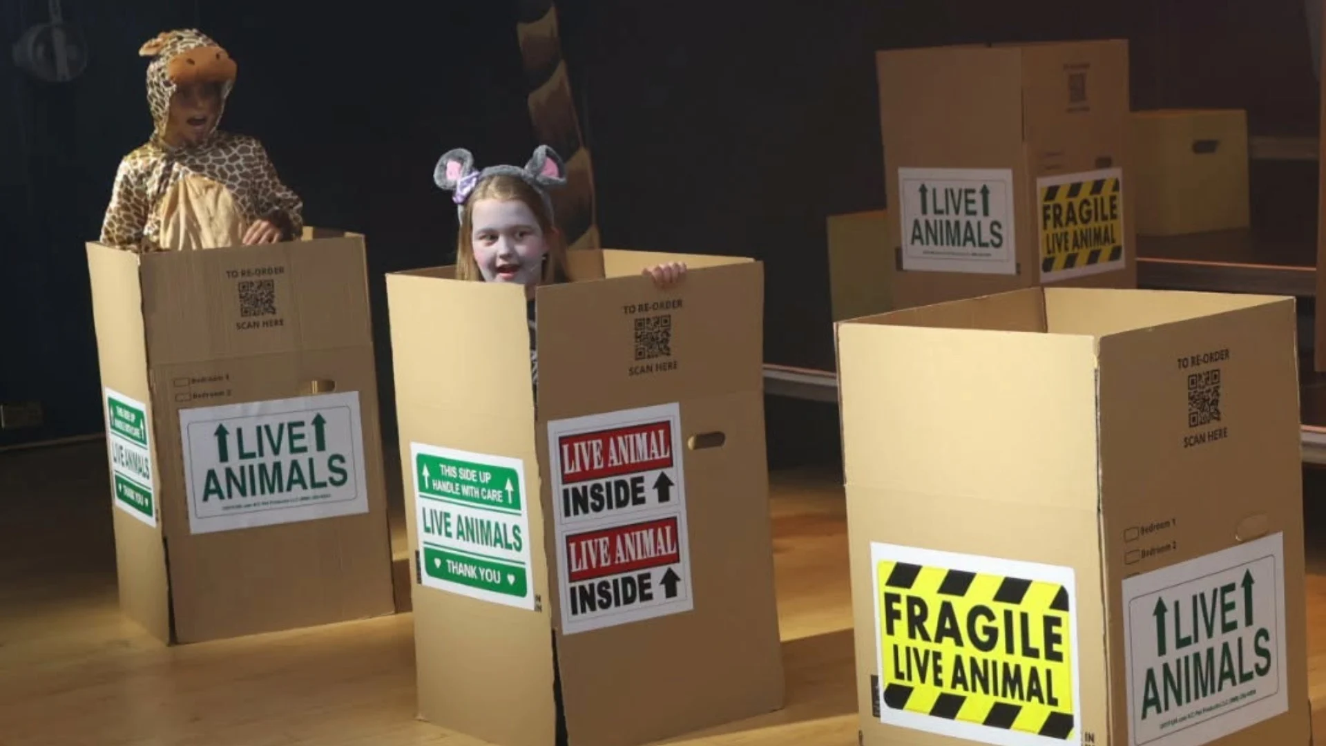 Barney students in cardboard boxes during Madagascar.