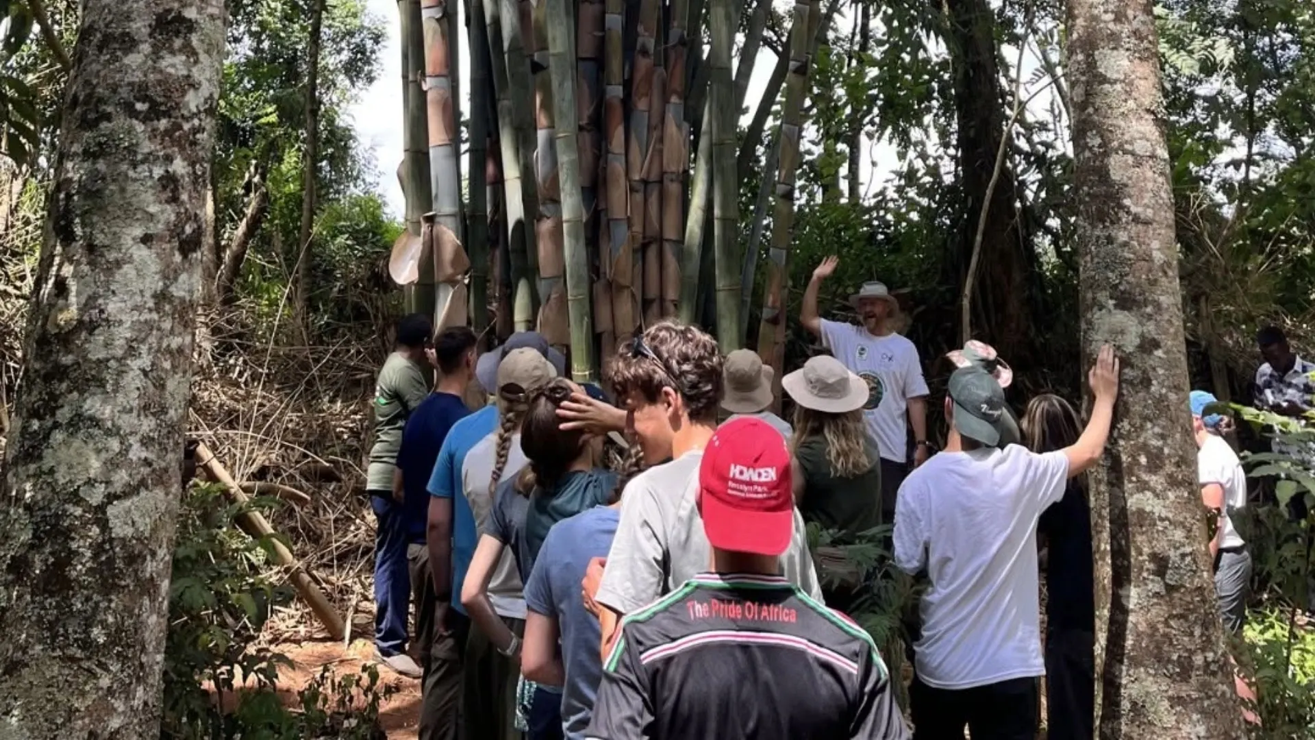 Barney students in a forest on the Kenya expedition.