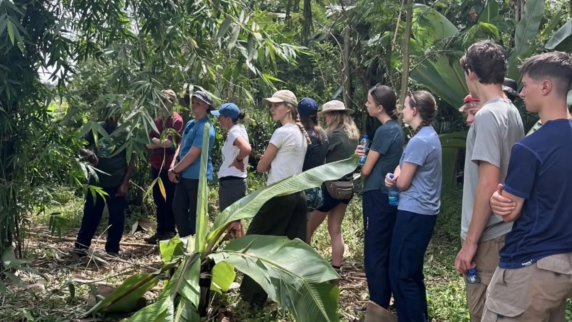 Barney students navigate the jungle in Kenya.